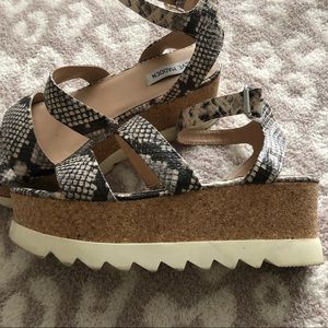 Steve Madden Kirsten Wedge Sandal in snakeskin, 8